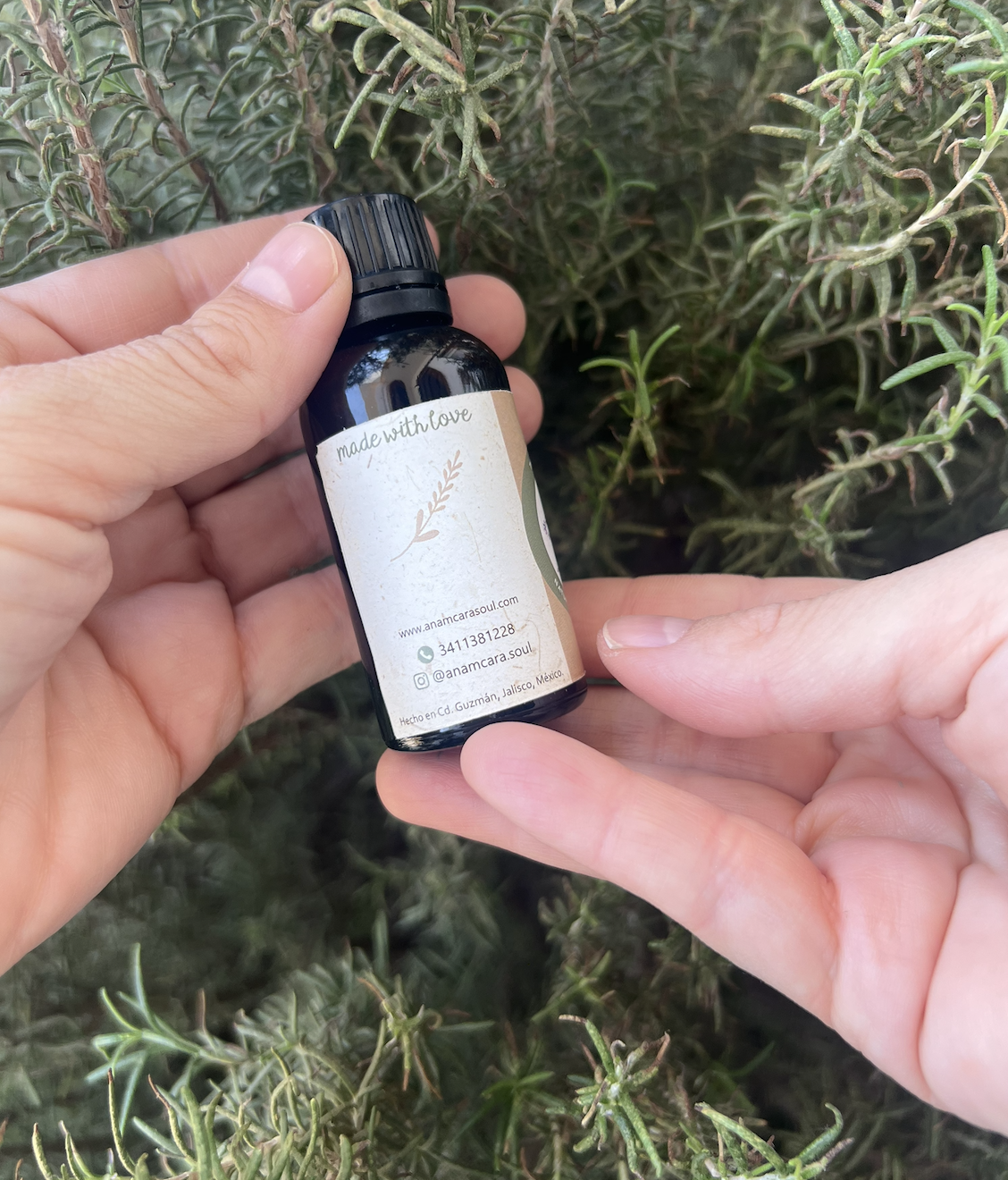 Tintura madre Equinácea